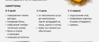 Чем оспа обезьян отличается от чёрной оспы - Инфографика