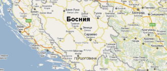 В Боснии выявлен первый случай заражения оспой обезьян