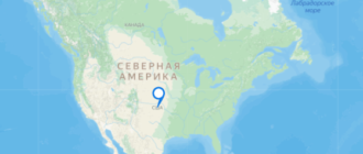 США объявили оспу обезьян чрезвычайной ситуацией